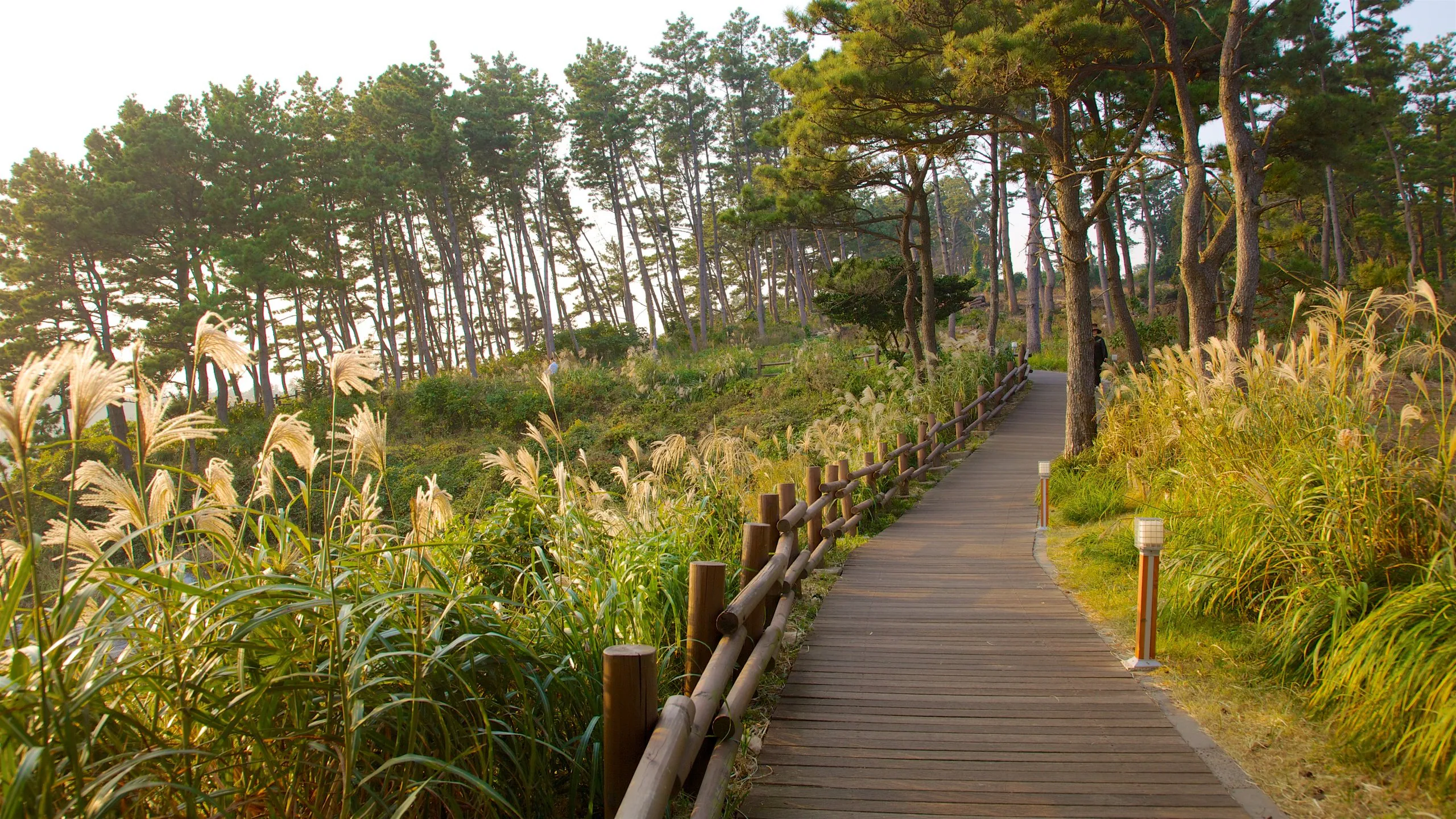 公園